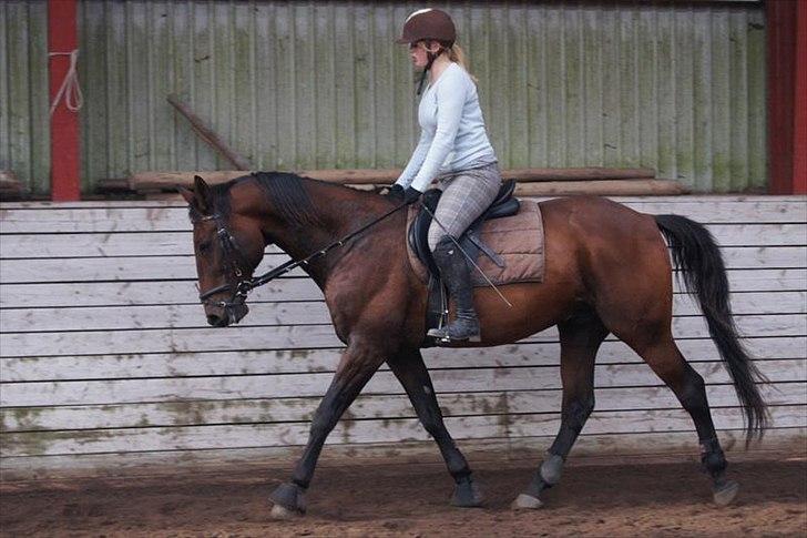 Traver Rune All Over (SAVNES!!) <3 - At forstå hinanden er ikke så vigtigt som at acceptere hinanden billede 3