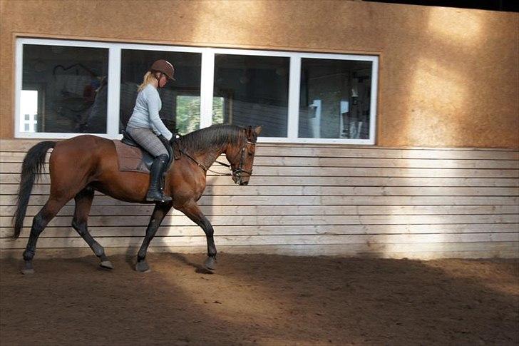 Traver Rune All Over (SAVNES!!) <3 - træning ved lars misser!<3 billede 6