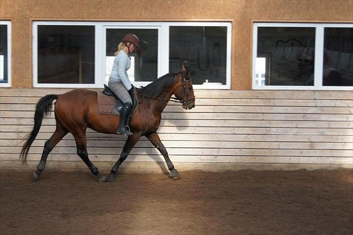 Traver Rune All Over (SAVNES!!) <3 - The best and most beautiful things in the world can not be seen or touched. It must be felt with the heart billede 8