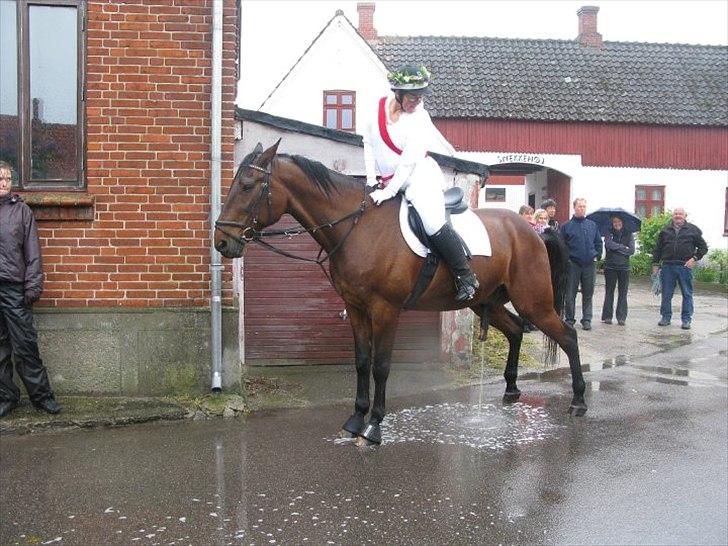 Traver Rune All Over (SAVNES!!) <3 - runes ejer og rune til sommer i by!<3 billede 9