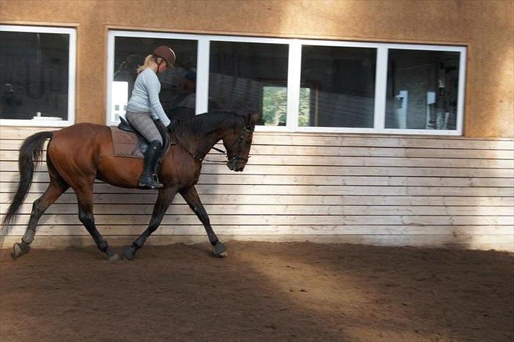 Traver Rune All Over (SAVNES!!) <3 - træning ved lars misser!<3 billede 12