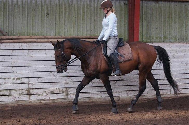 Traver Rune All Over (SAVNES!!) <3 - træning ved lars misser!<3 billede 15