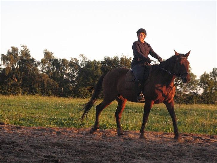 Traver Rune All Over (SAVNES!!) <3 - runes ejer og rune en sommer dag :-) billede 16