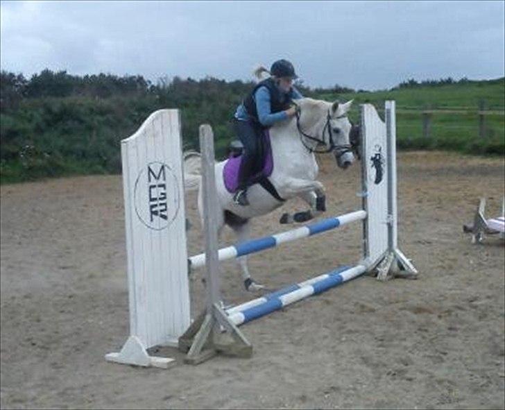 Anden særlig race Søvinds Silvermoon <3 R.I.P <3 :'( - Liiidt spring<3
Foto: Helena <3 billede 5