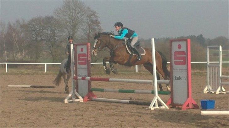 DSP Azra - Azra i fin stil over 80cm. :D billede 3