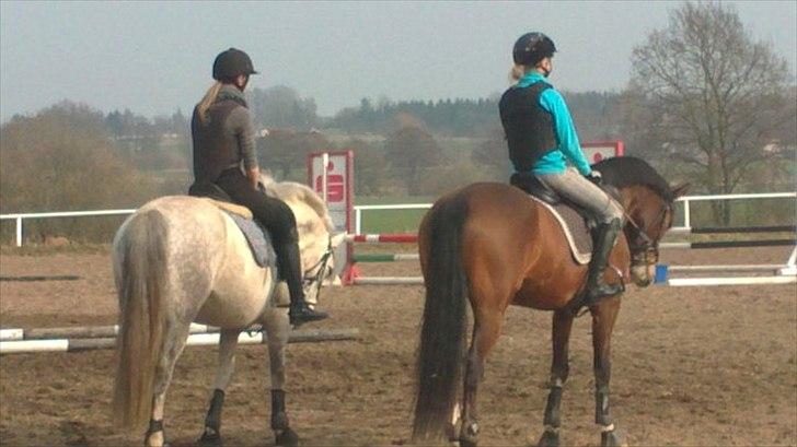 DSP Azra - Azra og Maus slapper af efter en hård omgang Lone Kromann kursus ;-) billede 5