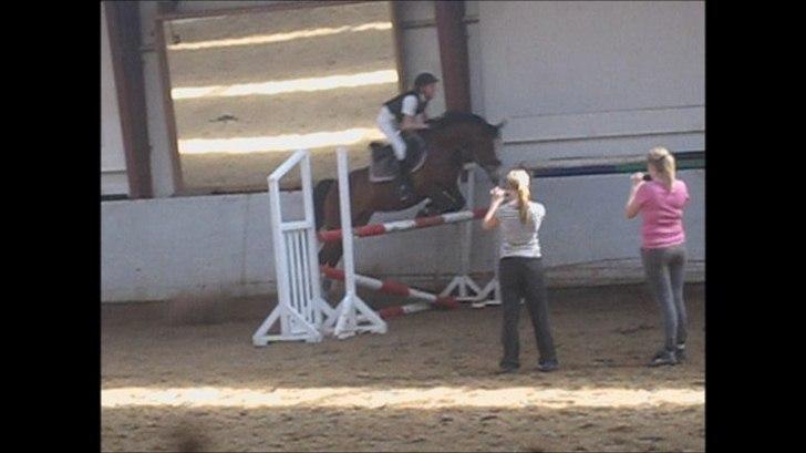 DSP Azra - Azra til højde spring her over 95cm. billede 6