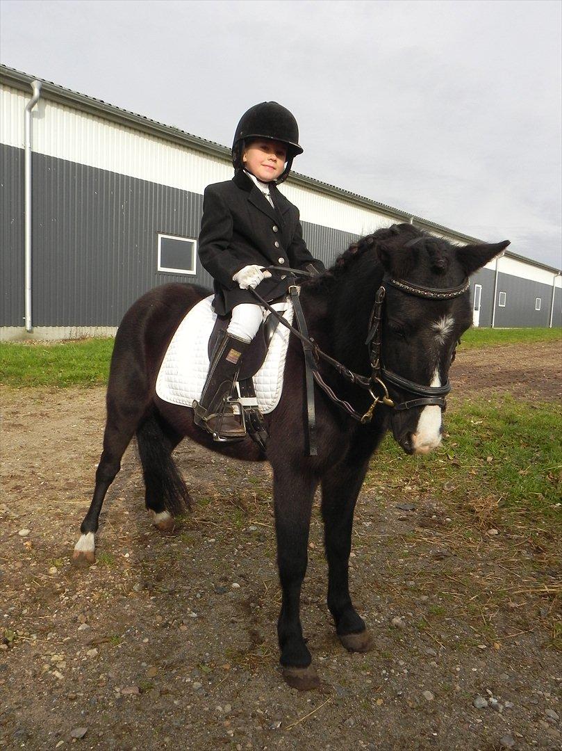 Anden særlig race Stabygårds Mia Maja billede 20