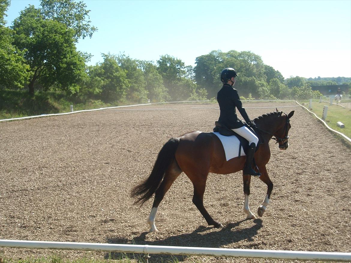 DSP Azra - RDH billede 8