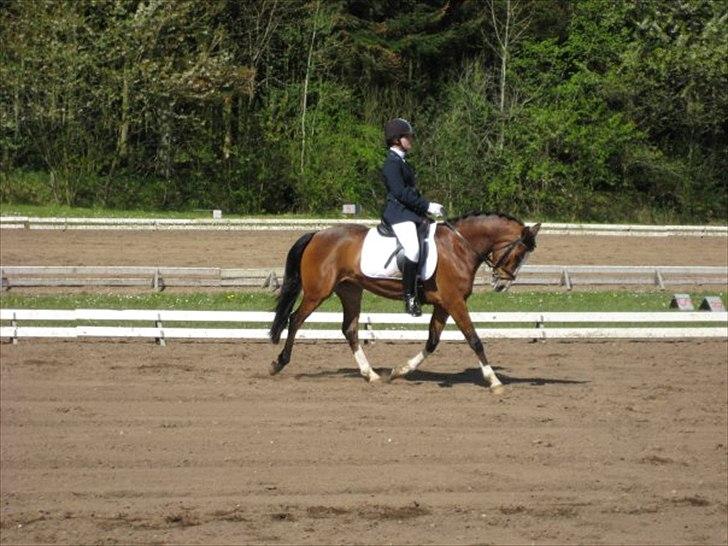 DSP Azra - Azra og Cecilie (-: billede 10