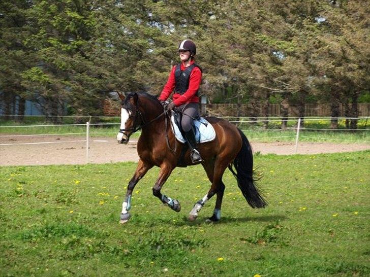 DSP Azra - Azra hygger sig (-; billede 11