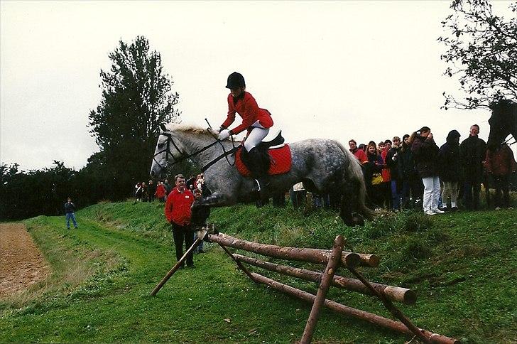 Connemara Hedegården's Sultan  [SAVNET UBESKRIVELIGT MEGET] - Fitte og sulle til Hubertusjagten billede 15