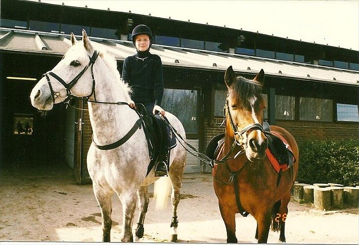 Connemara Hedegården's Sultan  [SAVNET UBESKRIVELIGT MEGET] - Sulle ,fitte og ponyen Twist. billede 17