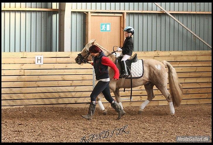 Anden særlig race cæcar - lille laura og cæcar og mig varmer op til stævne billede 14