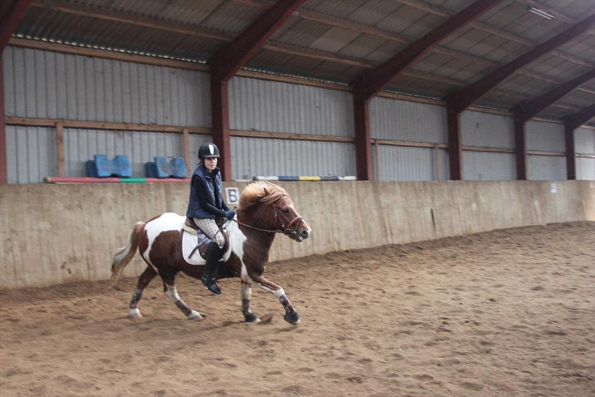 Anden særlig race Flamme *.. Bølle pony!<3 (Solgt) ;'(<3 - Flamme og mig!:D<3
Undskyld dårlig kvalitet. :]
Foto: Kristine billede 8