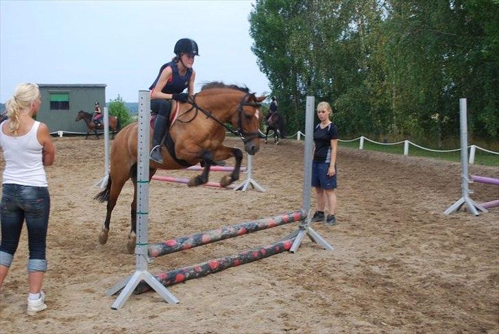 New Forest Migchlsheve´s  Twilight-Elegnce - Hehe jeg springer højt
men kun fordi jeg elsker det!! billede 7