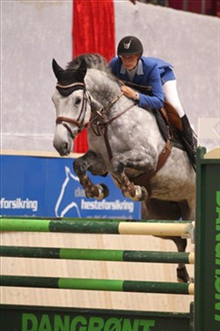 Dansk Varmblod AB´s Catwalk - AVLSHOPPE - Catwalk og mig til Dansk Hesteforsikrings Youngster Cup 2011 på Vilhelmsborg,som vi blev vinder af!!! september 11 billede 8