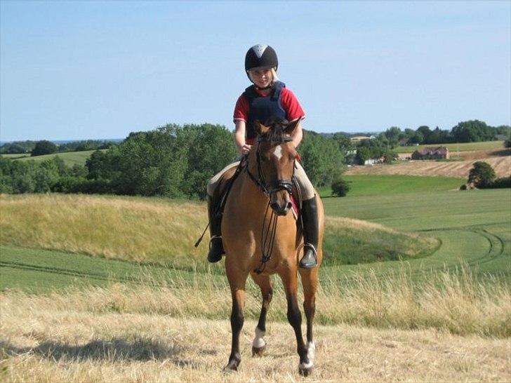 New Forest Migchlsheve´s  Twilight-Elegnce - Se nu kom jeg op og jeg var den første!! billede 3