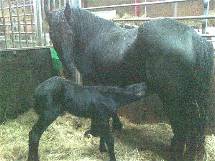 Frieser Inéz - Inéz og hendes mor Gitte <3 billede 4