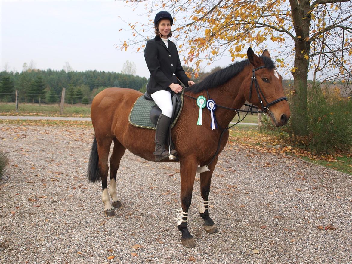 Dansk Varmblod TRÉSOR - Trésor og min mor efter et vellykket springstævne. billede 4