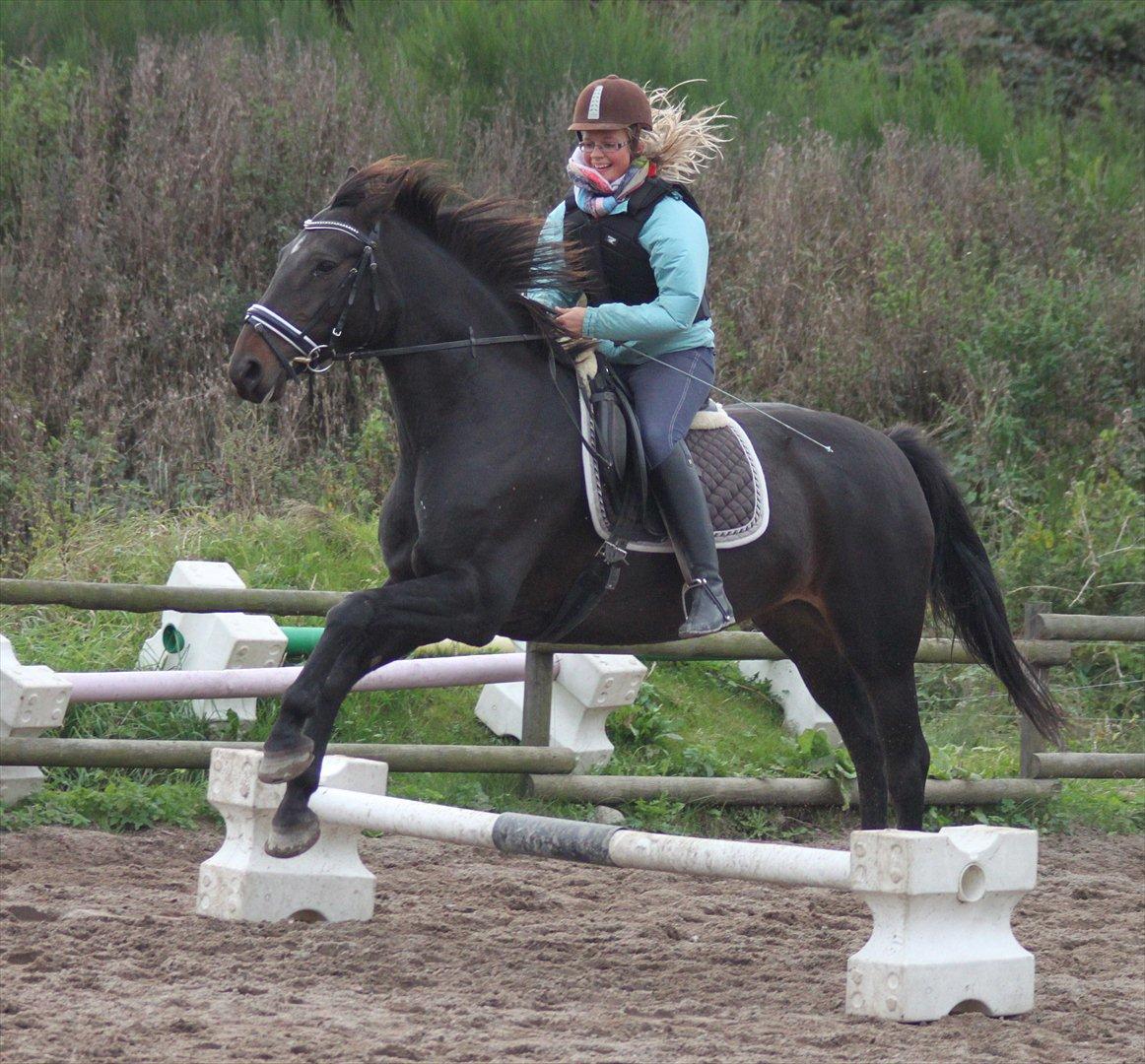 Dansk Varmblod Vesterhavegaard´s Deuchet Epona - Ja spring rytter & hest bliver vi aldrig :) men vi hygger os med det vi kan :D<3 

Foto Johanne billede 13