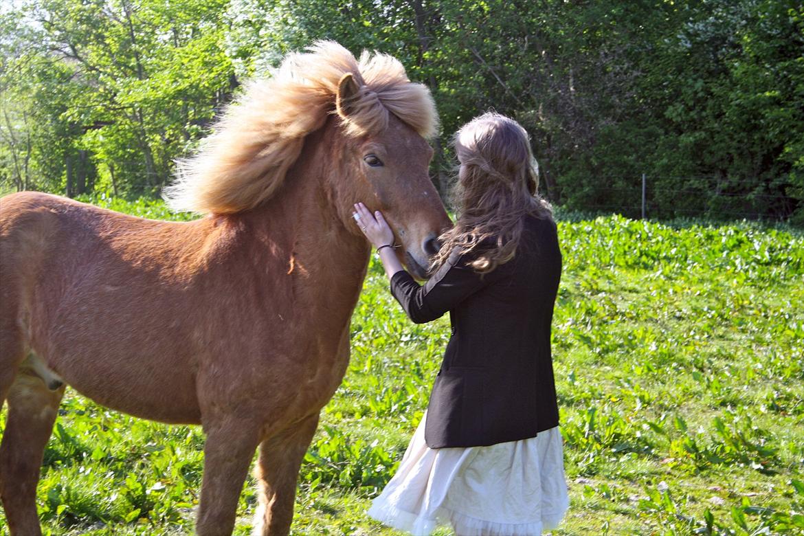 Islænder Halli fra Dyrehavegård <3 - Da jeg mødte Halli første gang, til min konfirmation (: - Kærlighed ved første blik <3

Maj 2011. billede 11