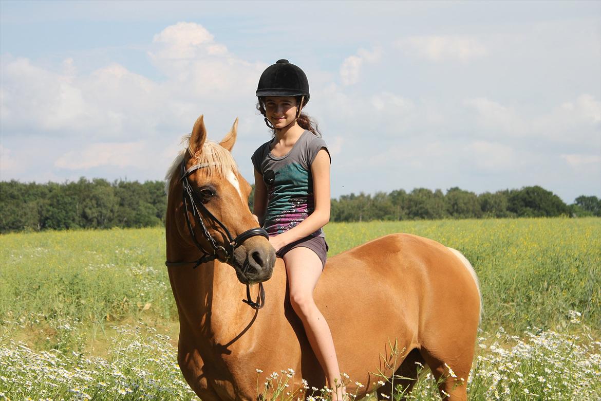 Hollandsk Sportspony Paula - Billedet som kom med i Ridehesten Junior billede 10