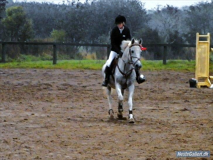 Anden særlig race | Silas <3. - Uanset hvad du er i andres, vil du altid være en vinder i mine øjne ♥♥. | Foto: Stine Møller. billede 6