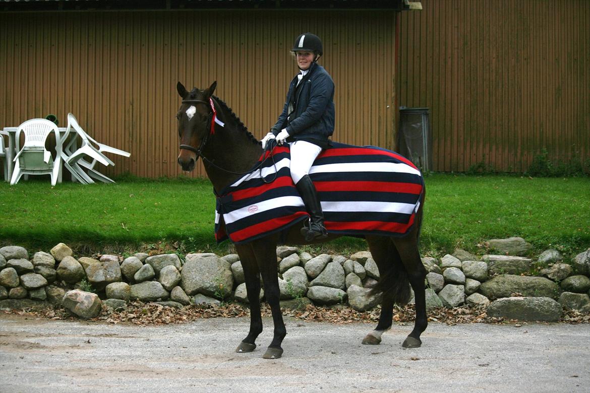 Trakehner Katalie Dyrhave - Stævne 9/10- 2011 LA1 1.plads billede 15