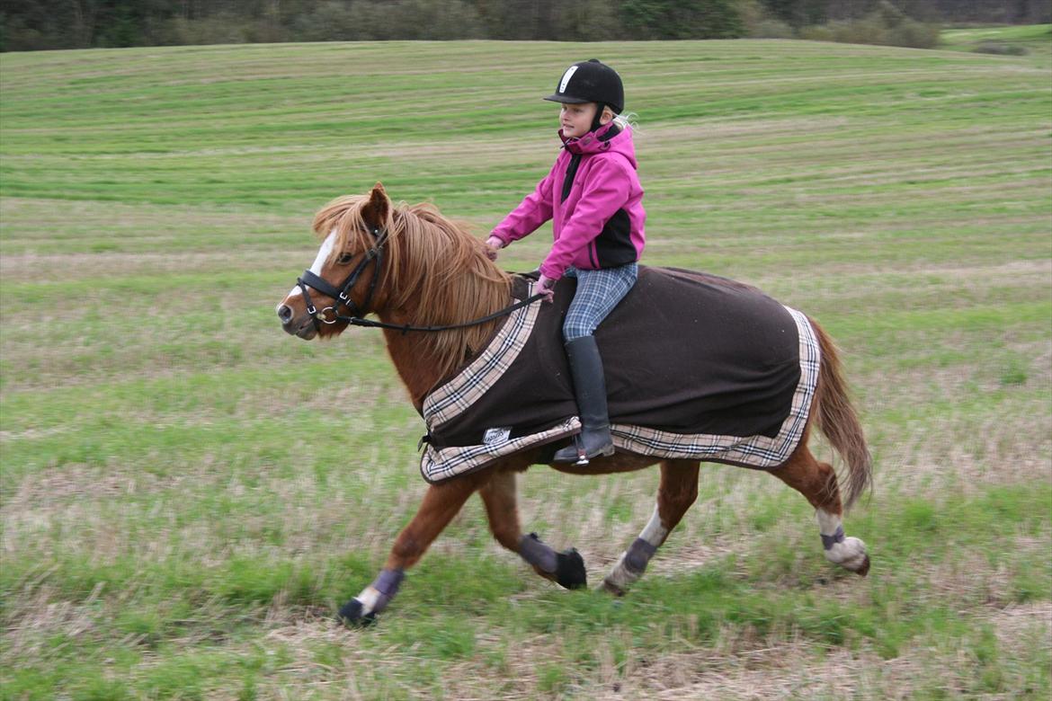 Anden særlig race Columbine (Givet væk) billede 18