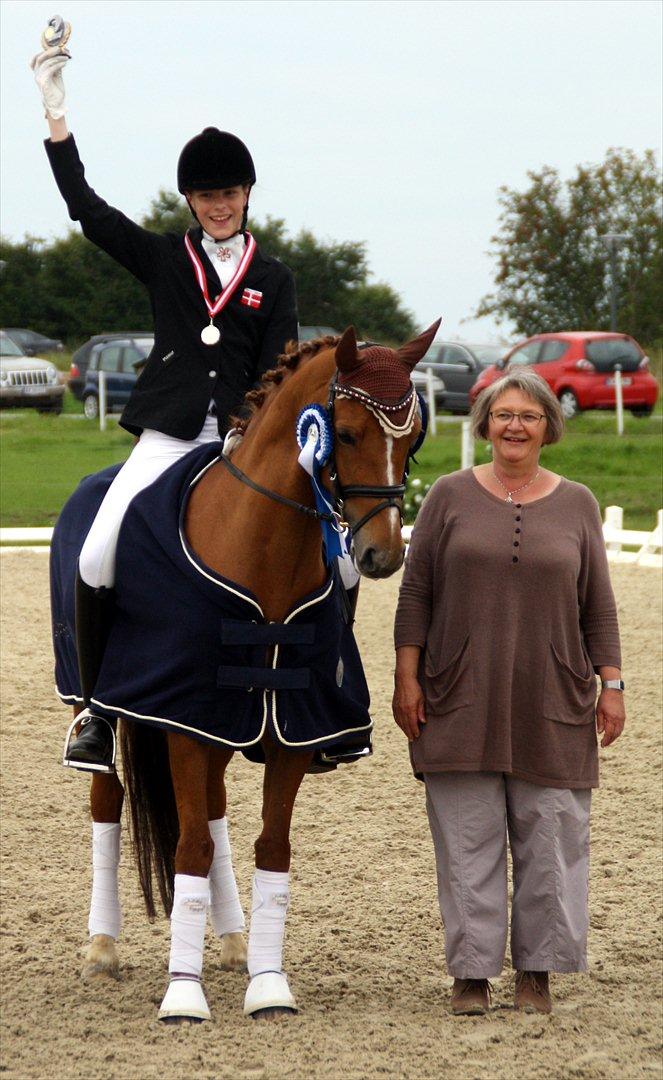 Hollandsk Sportspony Lasco A-pony  (SOLGT)  - DM sølv billede 7