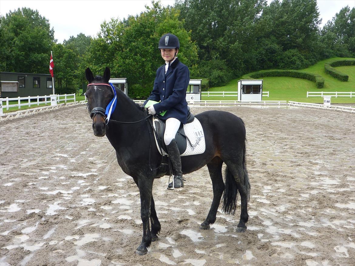 Anden særlig race Bonfire *Solgt* - Da mig og Bonfire blev nr. 2 til Distriks mesterskabet i distrikt 1 ^_^  billede 11