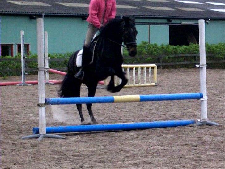 Anden særlig race Bonfire *Solgt* - Da mig og Bonfire springer :)  billede 10