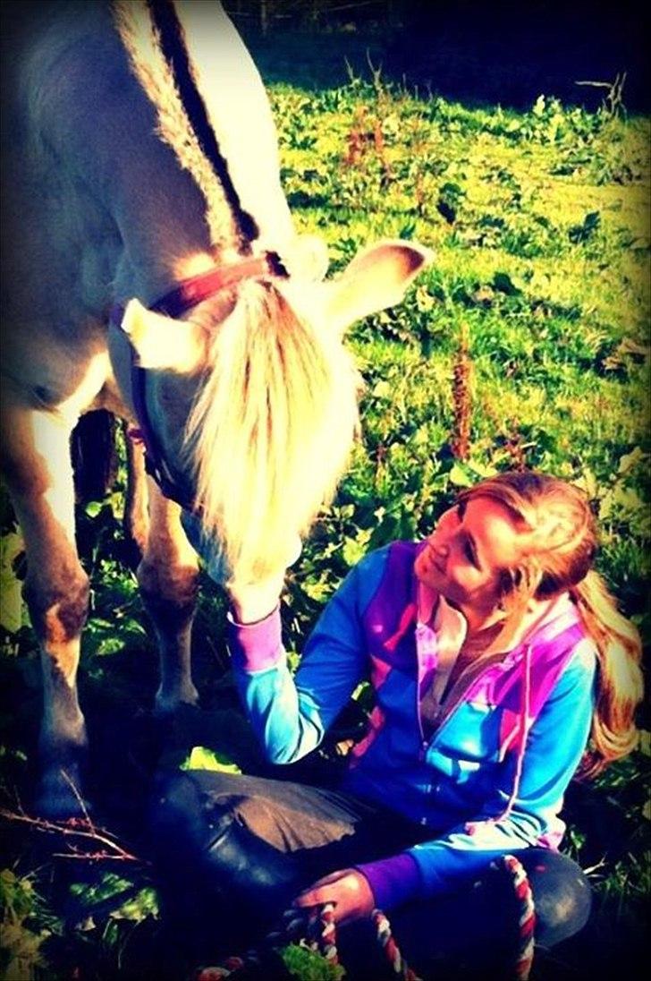 Fjordhest Alibine -                                                      My horse teaches me everything that I need to know about myself.♥ billede 47