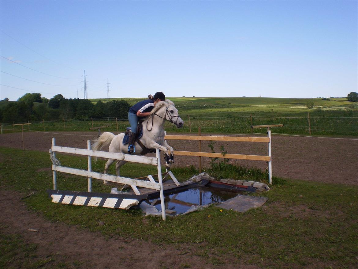 Anden særlig race Bianca. - mig og bianca over vandgrav d. 15/06-10 dagen efter jeg købte hende tilbage!(: billede 6