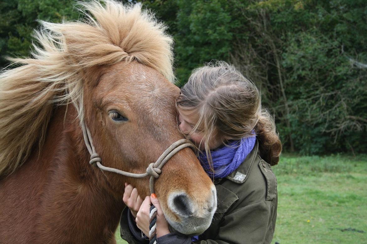 Islænder Halli fra Dyrehavegård <3 - You raise me up, to more than I can be.. <3

Oktober 2011. billede 16