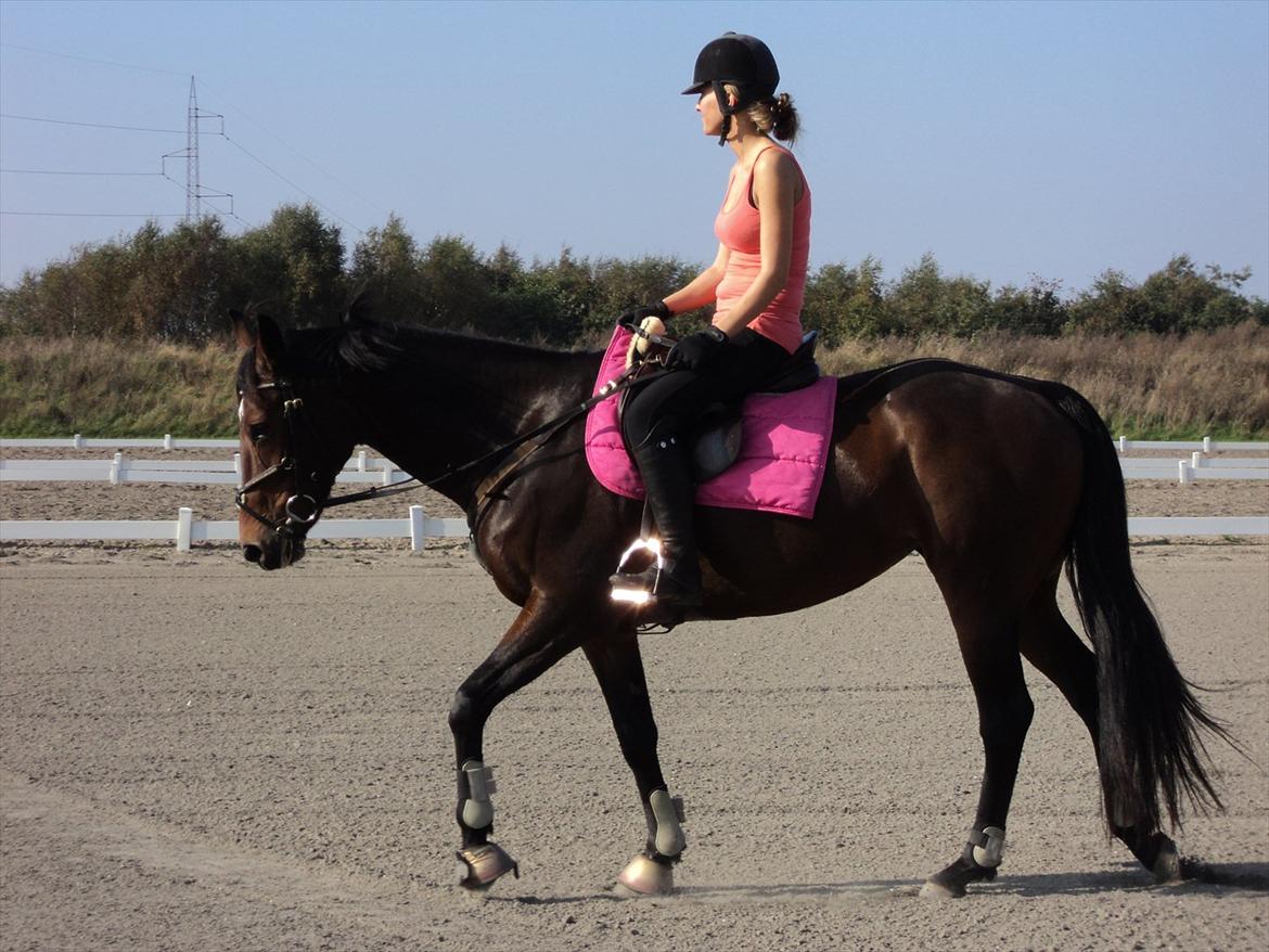 Anden særlig race Tatianna billede 10