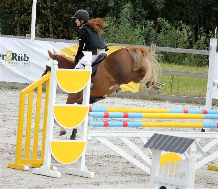 Anden særlig race SAKSKÆRS COMET II - Prinser, du er en éner!<3 Jeg elsker dig overalt, og uanset hvad vil jeg aldrig glemme dig <3 billede 19