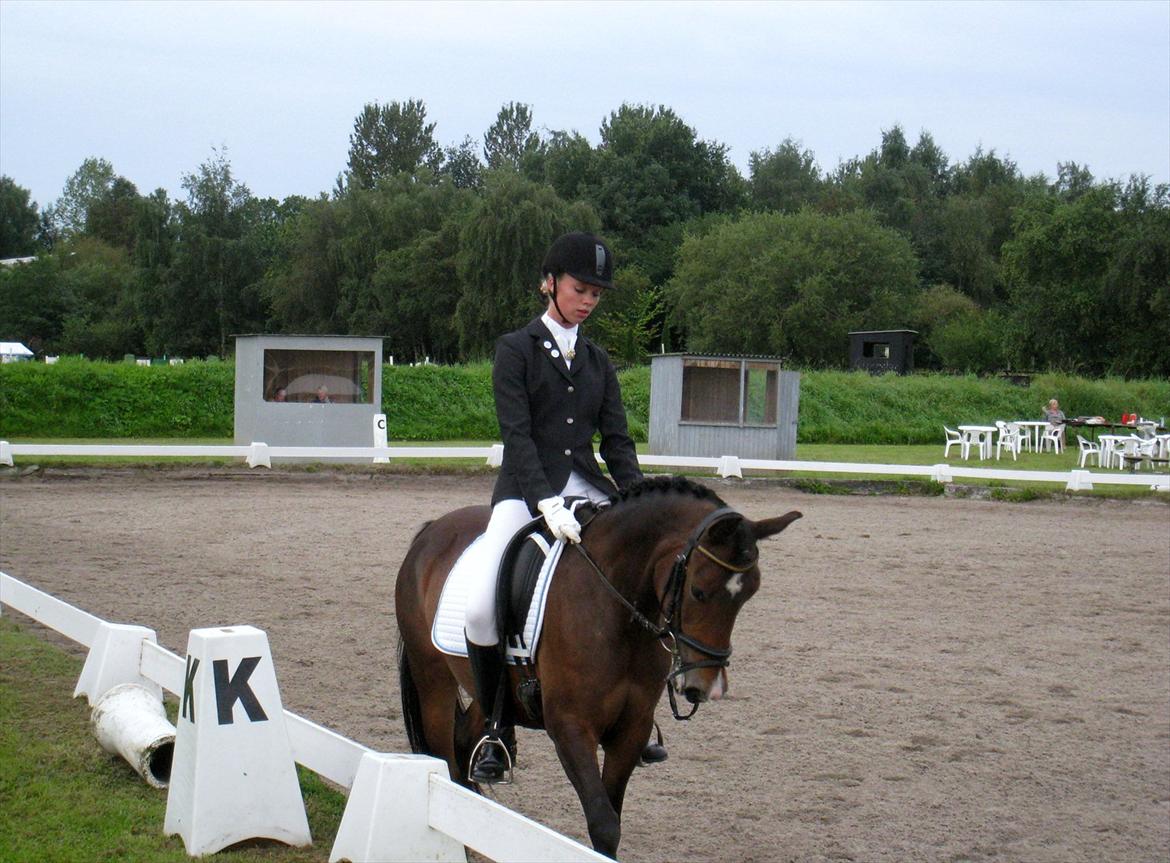 Anden særlig race Troldegårdens Bailey  billede 15