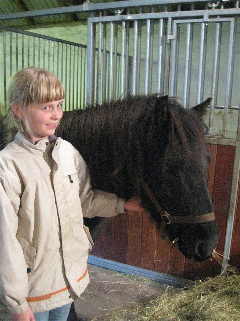 Islænder Rökkvi  fra Skarholt (passer) - Ved godt at jeg ser lidt fjollet ud.... billede 15