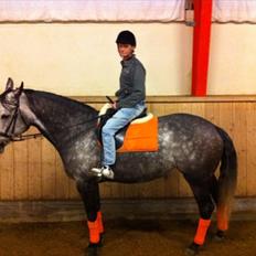 Anden særlig race Zacho's Chatana (Tana)