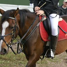 DSP Fejrupgaards Cookienelle