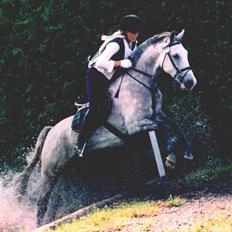 Anden særlig race Lurifax