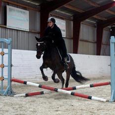 Anden særlig race Chili in action *Miss you boy*