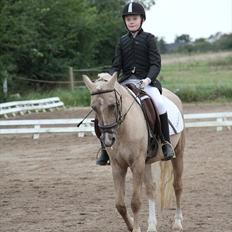 DSP Vejlebros Stella