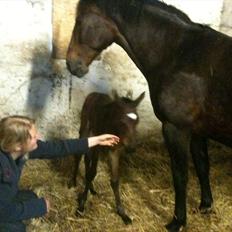 Anden særlig race Magic Sensation (Maggie)