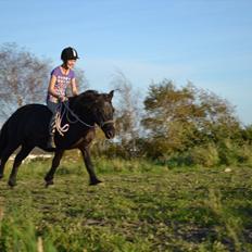 Anden særlig race Bonus