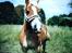 Haflinger Van Damme