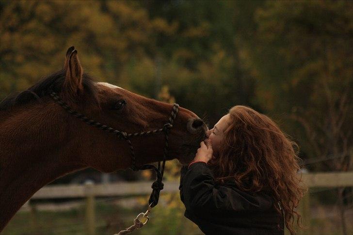 Anden særlig race | Luna   [Min bedsteven] - © Jeg kan skrive en hel roman om hvor meget du betyder for mig, men hvorfor dog gøre det, når det kan siges med tre ord.. Jeg elsker dig.
Fotograf - MLS / Efterår 2011.  billede 12