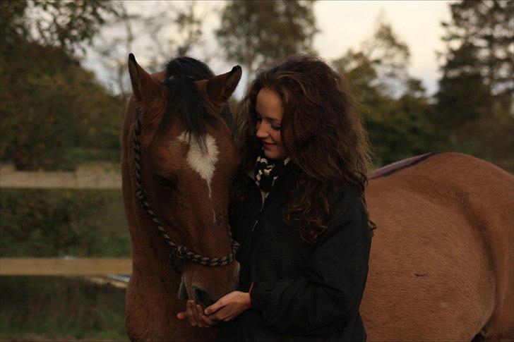 Anden særlig race | Luna   [Min bedsteven] - Luna er min anden halvdel <3. 
Fotograf - MLS / Efterår 2011.  billede 6
